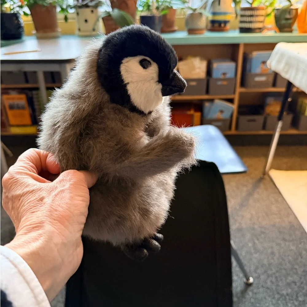 Folkmanis hand puppet Plush Penguin Toy for Small Pets - Picture 1 of 8